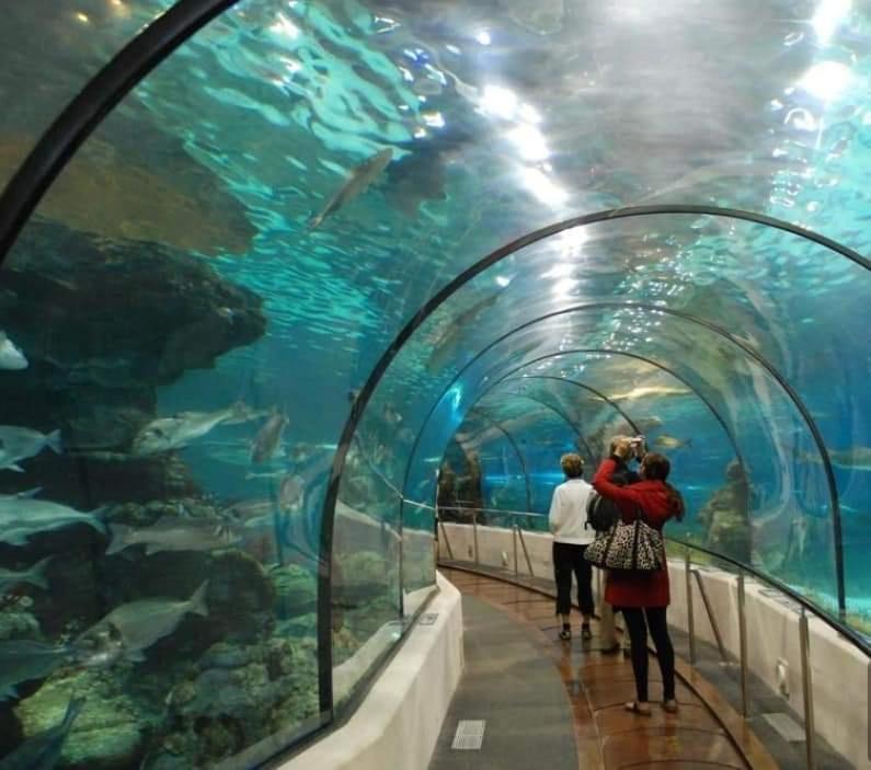 Sweet Home In Puerto Marina بينالماذينا المظهر الخارجي الصورة